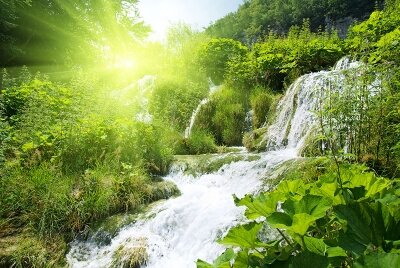 Фотообои водопад в лесу