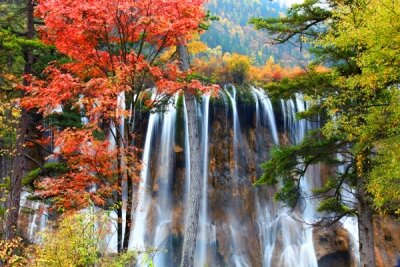 Фотообои водопад в лесу осенью